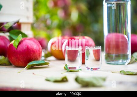 Due bicchieri e una bottiglia di apple brandy distillato con mele sul tavolo da giardino. Foto Stock