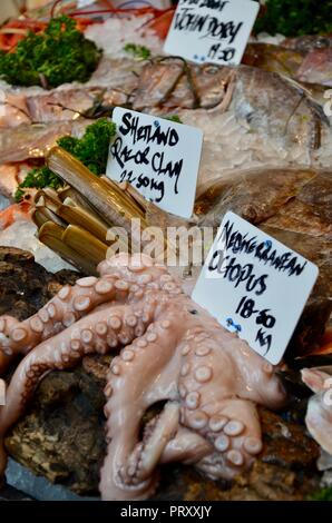 Polpo mediterraneo e Shetland cannolicchi sul display sul pesce in stallo, Borough Market, Southwark, Londra, Inghilterra, Regno Unito. Foto Stock