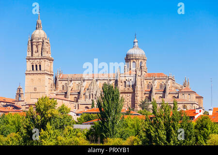 Cattedrale di Salamanca è un tardo gotica e barocca e catedral nella città di Salamanca Castiglia e Leon in Spagna Foto Stock