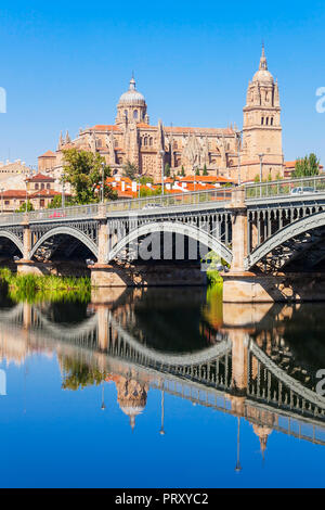 Cattedrale di Salamanca è un tardo gotica e barocca e catedral nella città di Salamanca Castiglia e Leon in Spagna Foto Stock