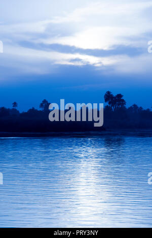 Jungle cresce sulle rive del fiume Nilo al tramonto, nei pressi di Edfu, Egitto. Foto Stock