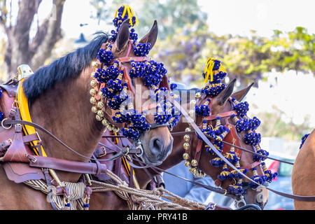 Cavalli andalusi presso la fiera di aprile, Siviglia fiera (Feria de Sevilla), Andalusia, Spagna Foto Stock