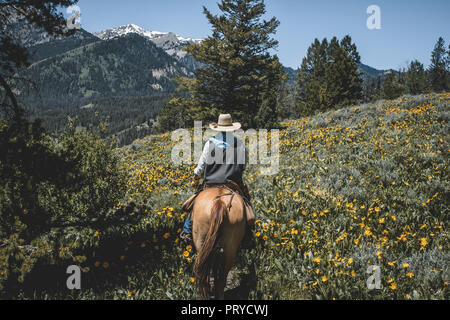 Equitazione Foto Stock