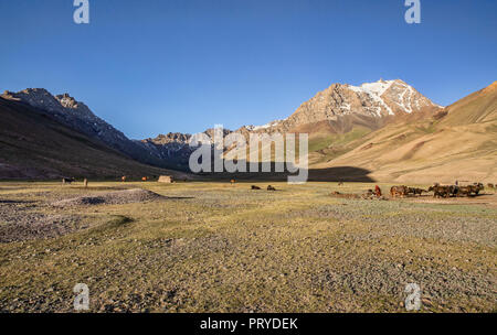 Kirghisa vita nomade di sunrise ora d'oro nella remota valle Pshart, Gorno-Badakhshan Regione autonoma, Tagikistan. Foto Stock