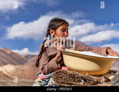 Giovani nomadi del Kirghizistan ragazza detiene qurut fresco nella remota valle Pshart nel Pamir Mountains, Gorno-Badakhshan Regione autonoma, Tagikistan. Foto Stock