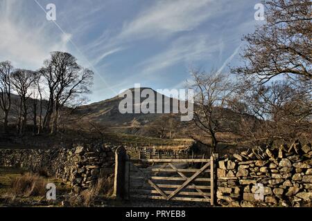 Vista in direzione di Coniston Old Man da Torver vicino a Coniston nel Lake District inglese Cumbria Regno Unito. Foto Stock