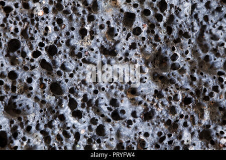 Close up di roccia ignea (le scorie, la roccia vulcanica, roccia lavica - macro) mostra vescicole, trovata nel deserto di Mojave in California - USA Foto Stock