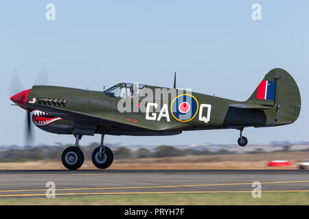 Curtiss P-40N Kittyhawk II Guerra Mondiale fighter aircraft VH-ZOC. Foto Stock