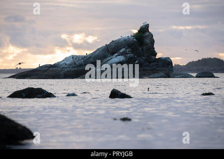 Tramonto sull'oceano pacifico tillamook bay. Enorme masso sporgente dell'acqua con uccelli nidificanti su di esso. Raggi di sole la sedimentazione all'orizzonte. Foto Stock