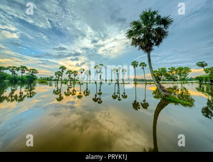 Sunrise colorati con alte palme che si elevano fino al cielo drammatico belle nuvole e silhouette riflettere sull'acqua di superficie nelle zone rurali del Delta del Mekong Foto Stock