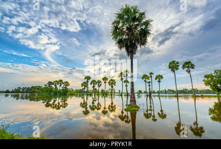 Sunrise colorati con alte palme che si elevano fino al cielo drammatico belle nuvole e silhouette riflettere sull'acqua di superficie nelle zone rurali del Delta del Mekong Foto Stock