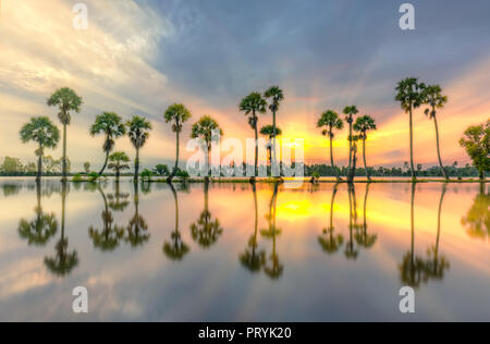 Sunrise colorati con alte palme che si elevano fino al cielo drammatico belle nuvole e silhouette riflettere sull'acqua di superficie nelle zone rurali del Delta del Mekong Foto Stock