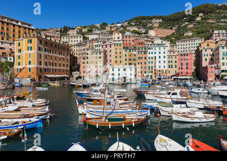 L'Italia, Liguria, Camogli, Porto Foto Stock