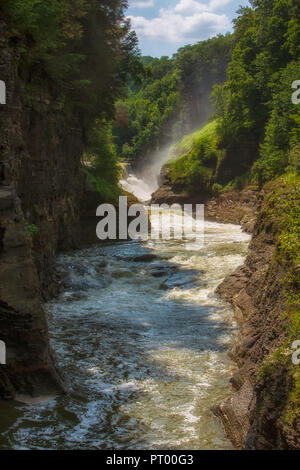 Una cascata fotografati con una lenta velocità otturatore a Letchworth parco dello Stato nello Stato di New York in estate. Foto Stock