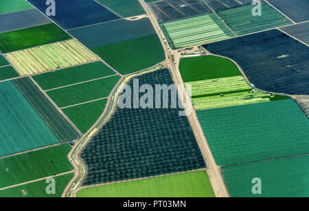 Costa del Pacifico in California con terreni agricoli vicino alla città di Salinas e Monterey. La foto è stata presa nei primi giorni di luglio. Foto Stock