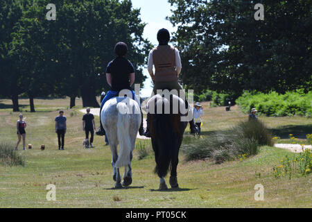 Domenica 2 luglio 2017 Richmond Park, London, Regno Unito. Due cavallo piloti in Richmond Park e altre persone a piedi godendo di una soleggiata giornata d'estate. Foto Stock