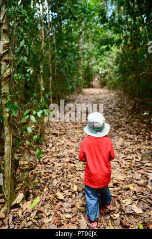 Un giovane bambino rosso da indossare a piedi attraverso una foresta, Dalrymple gap, QLD, Australia Foto Stock