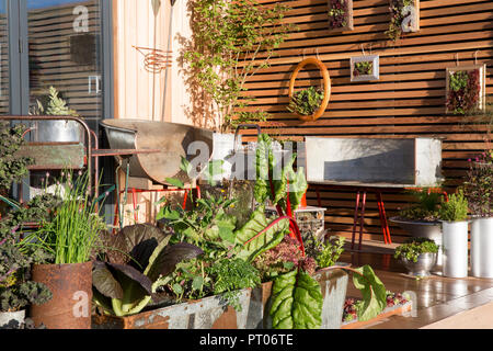 Piccolo spazio balcone veg verdure orto decking lattuga bietola erba cipollina che cresce in contenitori metallici insoliti riadattati giardinaggio verticale Regno Unito Foto Stock