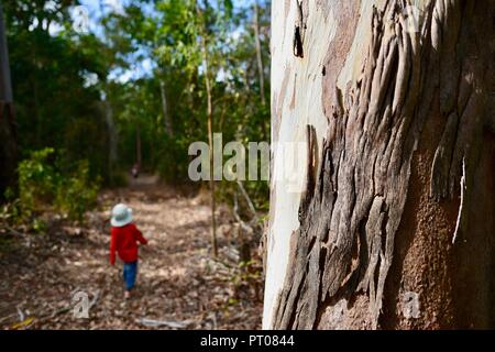 Un giovane bambino rosso da indossare a piedi attraverso una foresta, Dalrymple gap, QLD, Australia Foto Stock