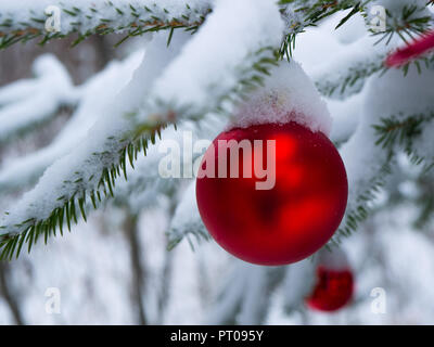 Coperte di neve delle lampadine di Natale appeso al di fuori Foto Stock
