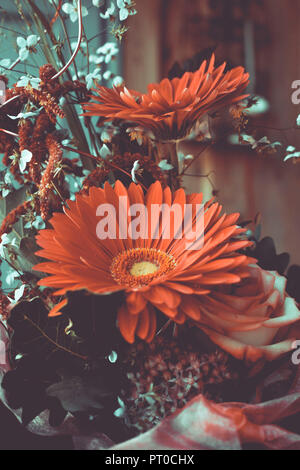 Gerbera in un bouquet, uno stile rétro Foto Stock