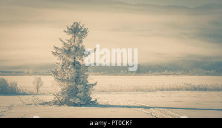 The winter, with ice, snow and wonderful sight Foto Stock