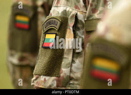 La lituania patch bandiera sul braccio di soldati. Il lituano uniforme militare. Le truppe della Lituania Foto Stock