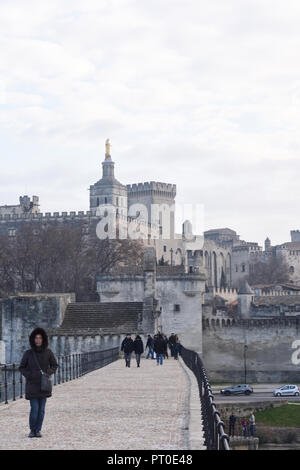 Inverno in Avignone il Palazzo dei Papi e il ponte, Francia Foto Stock
