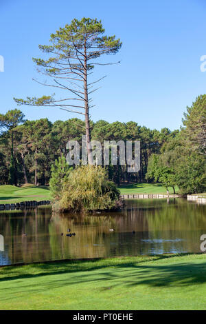 Il 18 buche par 72 del campo da golf di Seignosse (Landes - Francia). Progettato dall architetto americano Robert Van Hagge, è una vera e propria opera d'arte. Foto Stock