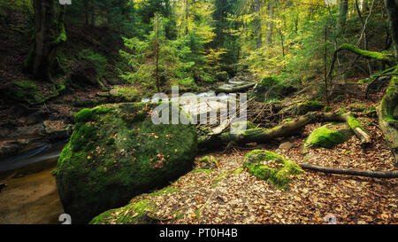 Una grande pietra di muschio in mezzo alla foresta, Ilsetal nel Harz in Germania Foto Stock