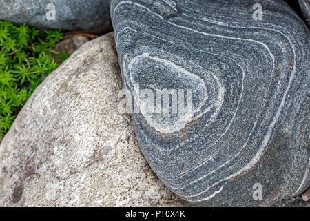 Strati di granito grande Bella roccia con sorprendente concentrico in bianco e nero di curve sagomate da strati di materiali differenti con sfocato piante verdi Foto Stock