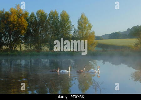 Foschia mattutina sul lago nella riserva naturale in Devon Foto Stock