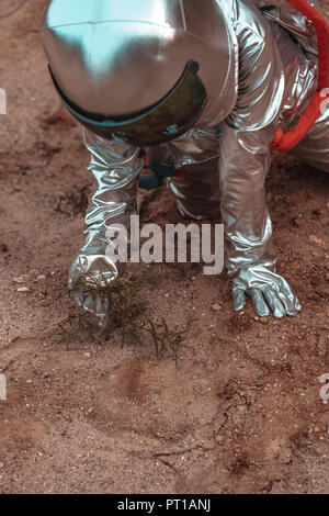 Spaceman esplorando il pianeta anonimi, esaminando le piante Foto Stock