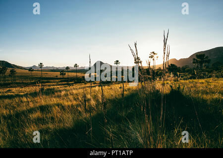 Il Brasile, Alto Paraiso de Goias, paesaggio all'alba Foto Stock