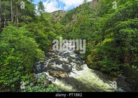 Afon (Fiume) Glaslyn che fluisce attraverso il passaggio Aberglaslyn guardando a nord dal ponte vicino Nantmor a sud di Beddgelert North Wales UK Giugno Foto Stock