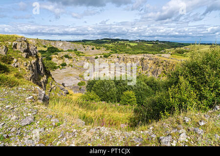 Minera Limeworks in disuso cava di calcare ora un North Wales Wildlife Trust riserva vicino Minera a ovest di Wrexham North Wales UK Agosto 0162 Foto Stock