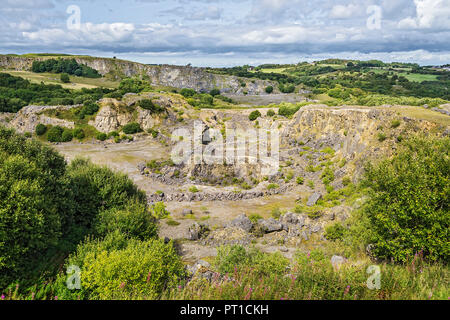 Minera Limeworks in disuso cava di calcare ora un North Wales Wildlife Trust riserva vicino Minera a ovest di Wrexham North Wales UK Agosto 0187 Foto Stock