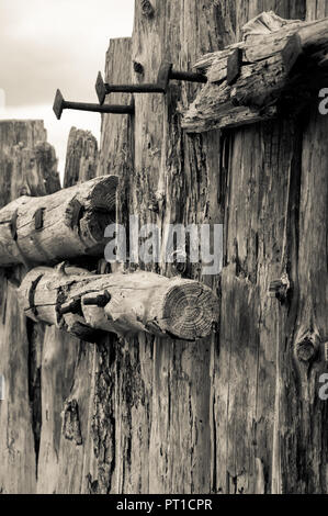 Vista ravvicinata di una parte del massiccio mare log break, difesa contro il movimento delle rocce dal mare e dalle intemperie. Foto Stock