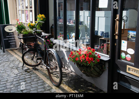 In vecchio stile macellai bike con cestello anteriore riempito di fiori al di fuori di un vecchio negozio finestra a Ulverston, Cumbria. Foto Stock