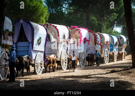 I carri da la Hermandad de la Esperanza de Triana sul pellegrinaggio di El Rocio, Huelva, Spagna Foto Stock