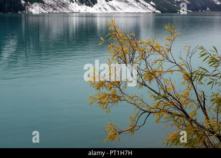 Il Moraine Lake, Banff NP, Canada Foto Stock