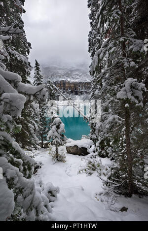 Il Moraine Lake, Banff NP, Canada Foto Stock