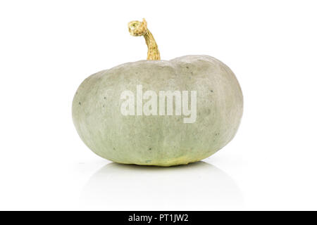 Un complesso leggermente fresco verde blu grigio zucca nagy dobosi varietà isolati su sfondo bianco Foto Stock