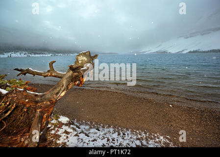 Al Lago Bow, Banff NP, Canada Foto Stock