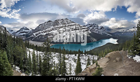 Il Lago Peyto, Banff NP, Canada Foto Stock