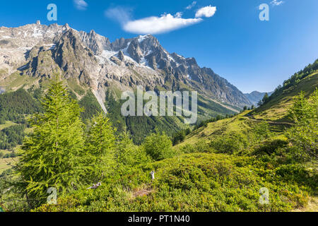 Vista delle Grandes Jorasses, il Massiccio del Monte Bianco (Val Ferret, Courmayeur, provincia di Aosta, Valle d'Aosta, Italia, Europa) Foto Stock
