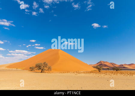 In Africa, la Namibia, il deserto del Namib Naukluft, Parco Nazionale, dune di sabbia 40 Foto Stock