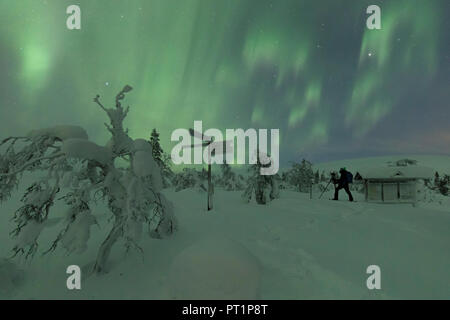 Fotografo in boschi innevati durante la Northern Lights Pallas-Yllastunturi National Park, Muonio, Lapponia, Finlandia Foto Stock