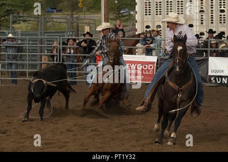 Colorado, Stati Uniti d'America. Il 22 agosto, 2018. I cowboys partecipare in Team roping a Snowmass Rodeo il 22 agosto 2018 a Snowmass, Colorado. Credito: Alex Edelman/ZUMA filo/Alamy Live News Foto Stock