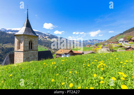 Fioriture di primavera presso la chiesa di Sankt Antonien, Prattigau valley, Distretto di Prattigau / Davos del Cantone dei Grigioni, Svizzera, Europa Foto Stock